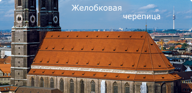 Antico-banner new